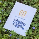 22631510-be97-40b4-ad93-637ddb4f1ea2