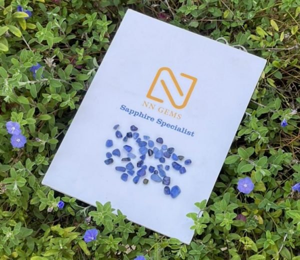 22631510-be97-40b4-ad93-637ddb4f1ea2